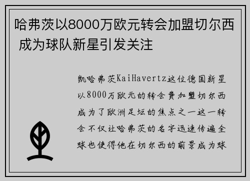 哈弗茨以8000万欧元转会加盟切尔西 成为球队新星引发关注 哈弗茨以8000万欧元转会加盟切尔西 成为球队新星引发关注