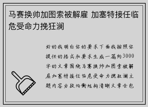 马赛换帅加图索被解雇 加塞特接任临危受命力挽狂澜